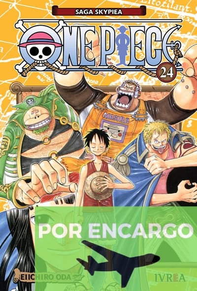 ONE PIECE 24
